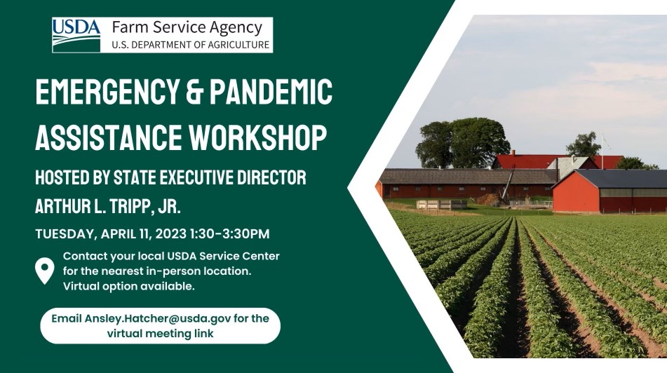 Emergency and Pandemic Workshop