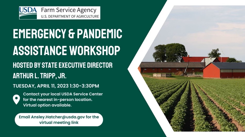 Emergency and Pandemic Workshop Emergency and Pandemic Workshop