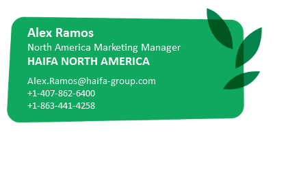 Haifa Contact Info